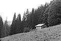 Bernhard Saalfeld - L1003502.JPG