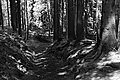 Bernhard Saalfeld - L1003503.JPG