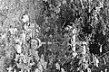 Bernhard Saalfeld - L1003506.JPG