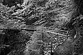 Bernhard Saalfeld - L1003511.JPG