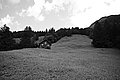 Bernhard Saalfeld - L1003516.JPG
