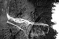 Bernhard Saalfeld - L1003520.JPG