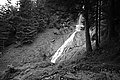 Bernhard Saalfeld - L1003522.JPG