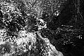 Bernhard Saalfeld - L1003543.JPG
