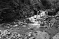 Bernhard Saalfeld - L1003557.JPG