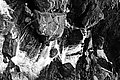 Bernhard Saalfeld - L1003559.JPG
