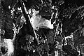 Bernhard Saalfeld - L1003561.JPG