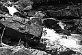 Bernhard Saalfeld - L1003563.JPG