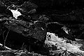 Bernhard Saalfeld - L1003564.JPG