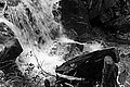 Bernhard Saalfeld - L1003565.JPG