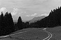 Bernhard Saalfeld - L1003570.JPG