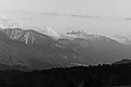 Bernhard Saalfeld - L1003578.JPG