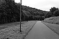 Bernhard Saalfeld - L1003636.JPG