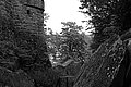 Bernhard Saalfeld - L1003645.JPG
