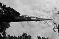 Bernhard Saalfeld - L1003646.JPG