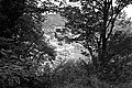 Bernhard Saalfeld - L1003647.JPG