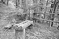 Bernhard Saalfeld - L1003651.JPG