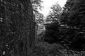 Bernhard Saalfeld - L1003655.JPG