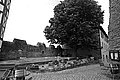 Bernhard Saalfeld - L1003715.JPG
