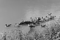 Bernhard Saalfeld - L1003755.JPG