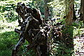 Bernhard Saalfeld - DSC06463.JPG