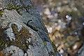 Bernhard Saalfeld - DSC06471.JPG