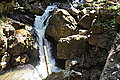 Bernhard Saalfeld - DSC06479.JPG