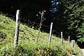 Bernhard Saalfeld - DSC06487.JPG
