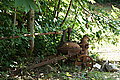 Bernhard Saalfeld - DSC06499.JPG
