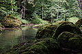 Bernhard Saalfeld - DSC06553.JPG