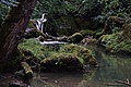 Bernhard Saalfeld - DSC06555.JPG