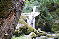 Bernhard Saalfeld - DSC06557.JPG