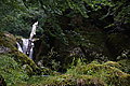Bernhard Saalfeld - DSC06560.JPG