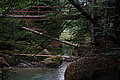 Bernhard Saalfeld - DSC06563.JPG