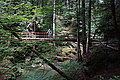Bernhard Saalfeld - DSC06565.JPG