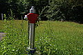 Bernhard Saalfeld - DSC06588.JPG