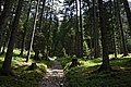Bernhard Saalfeld - DSC06668.JPG