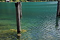 Bernhard Saalfeld - DSC06760.JPG
