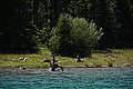 Bernhard Saalfeld - DSC06804.JPG