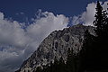Bernhard Saalfeld - DSC06853.JPG