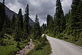 Bernhard Saalfeld - DSC06894.JPG