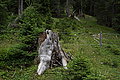 Bernhard Saalfeld - DSC06901.JPG