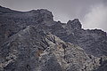 Bernhard Saalfeld - DSC06916.JPG