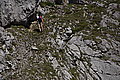 Bernhard Saalfeld - DSC07149.JPG