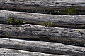 Bernhard Saalfeld - DSC07202.JPG