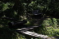 Bernhard Saalfeld - DSC07299.JPG