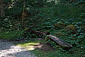 Bernhard Saalfeld - DSC07304.JPG