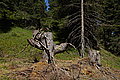 Bernhard Saalfeld - DSC07327.JPG