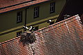 Bernhard Saalfeld - DSC07489.JPG