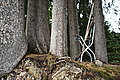 Bernhard Saalfeld - L1004342.JPG